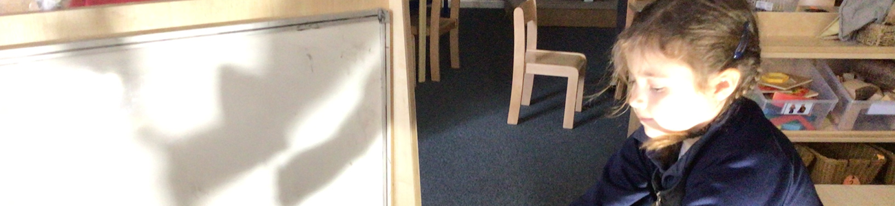 shadow puppets